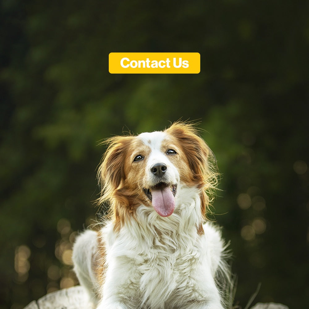 contact-mobile